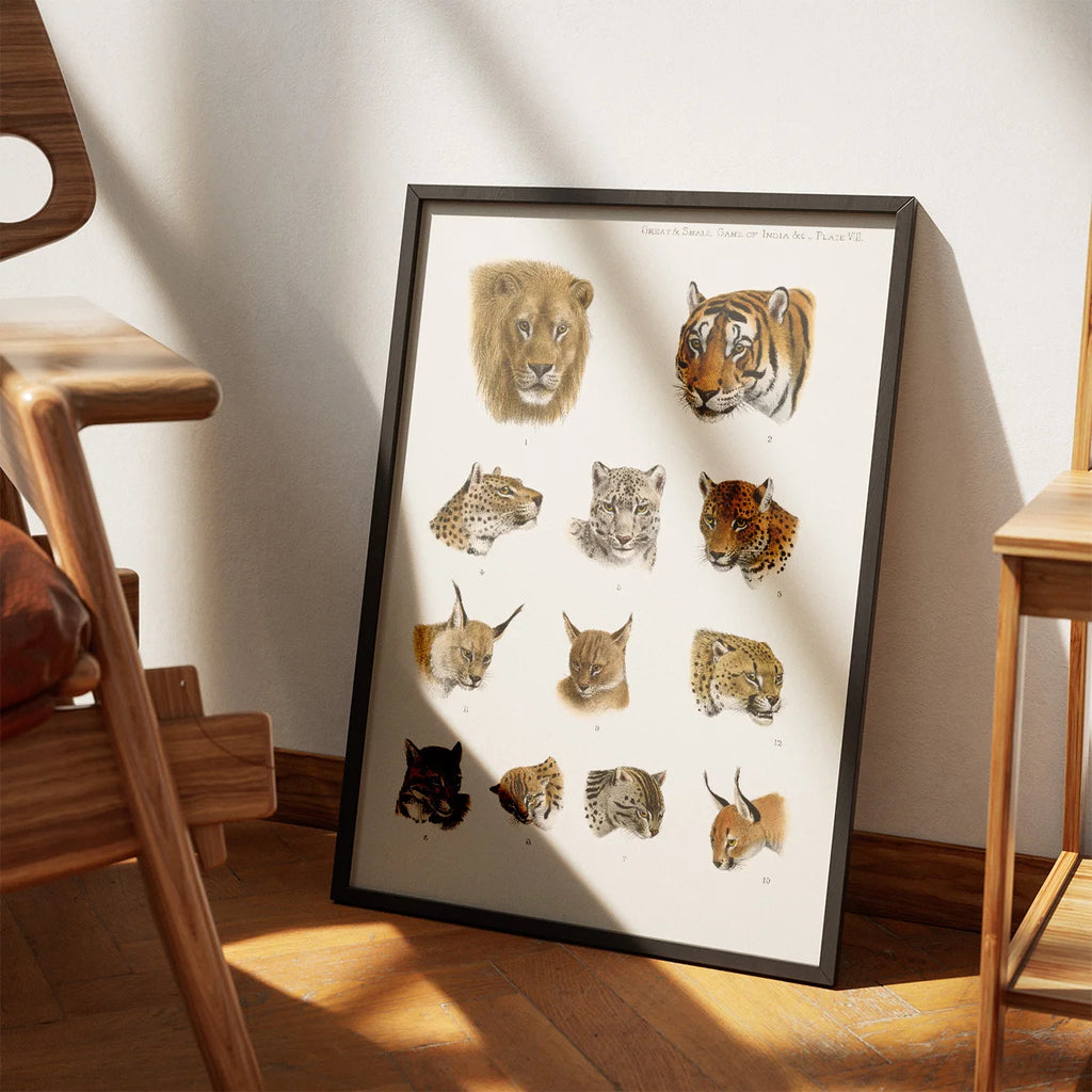 Indiens vilde dyr - Safariillustration fra 1900 – billede 3