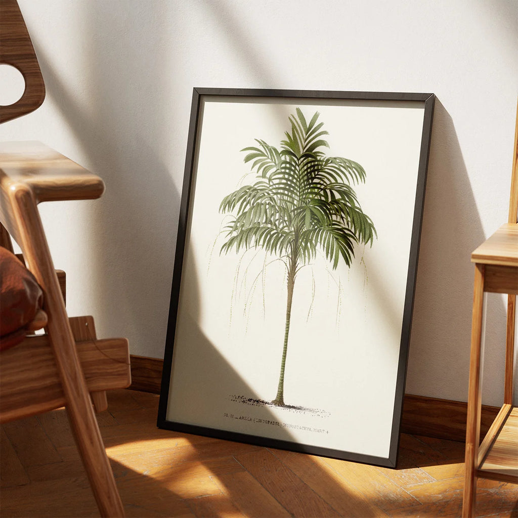 Palmer - Botanisk illustration fra 1878 – billede 3
