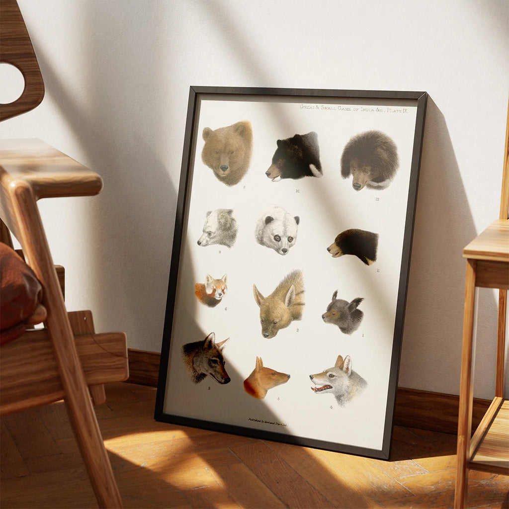 Indiens vilde dyr - Naturillustration fra 1900 – billede 3