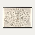 Tycho Brahes sfærespil 1661 - Astronomisk planche – billede 1