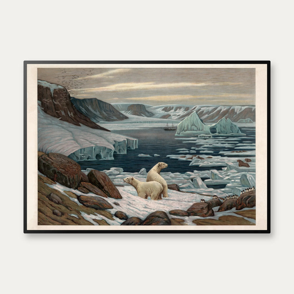 Polarlandskab 1890 - Geografisk anskuelsesbillede – billede 1