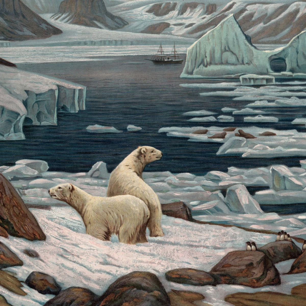 Polarlandskab 1890 - Geografisk anskuelsesbillede – billede 4