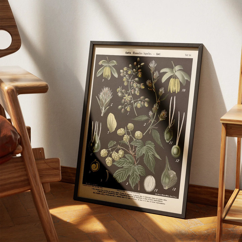 Humle og hamp 1894 - Botanisk planche – billede 3