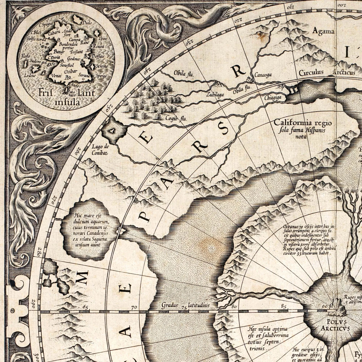 Nordpolen 1606 - Arktisk kort af Gerard Mercator – billede 4