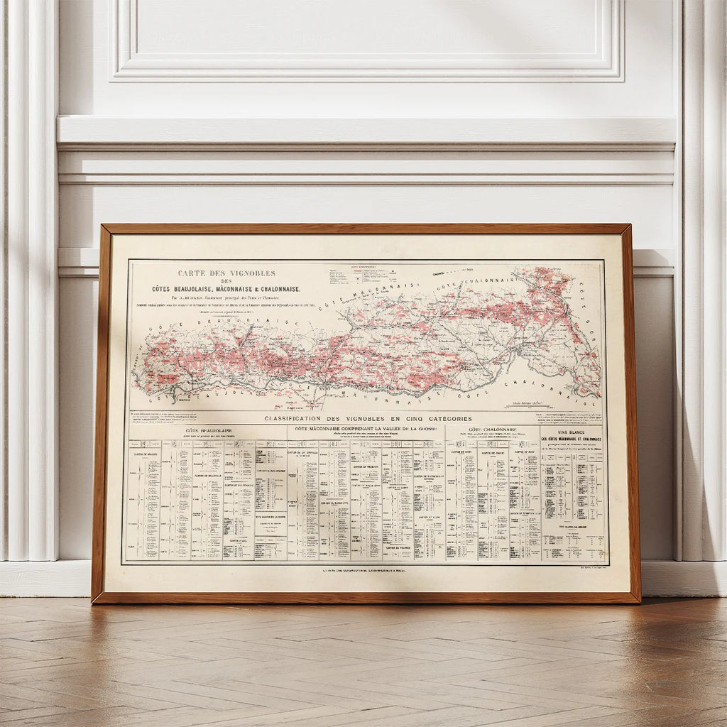 Beaujolais, Mâconnais og Châlonnais 1901 - Historisk vinkort – billede 2