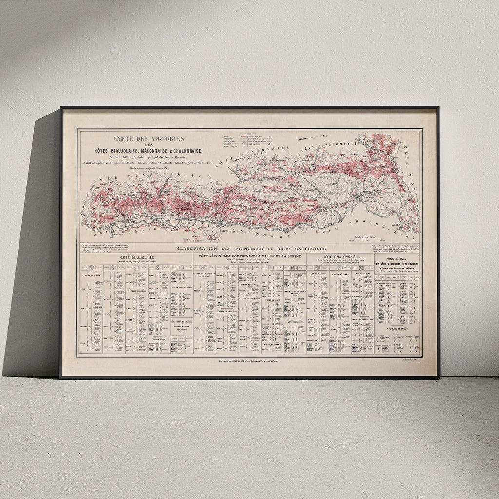 Beaujolais, Mâconnais og Châlonnais 1901 - Historisk vinkort – billede 3