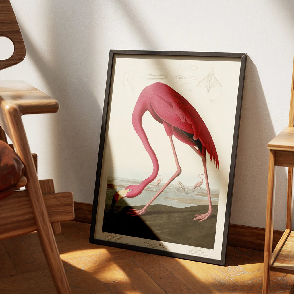 Flamingo - John James Audubons Birds of America – billede 3