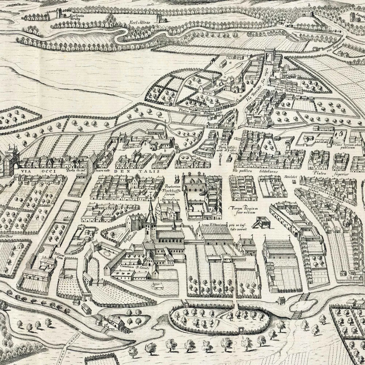 Odense 1593 - Historisk byprospekt i udgave fra 1862 – billede 4