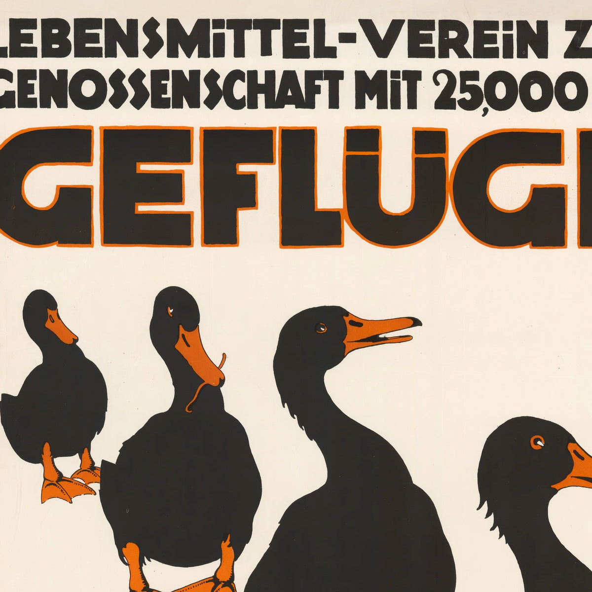 Fjerkræ fra St. Annahof 1914 - Zürich – billede 4