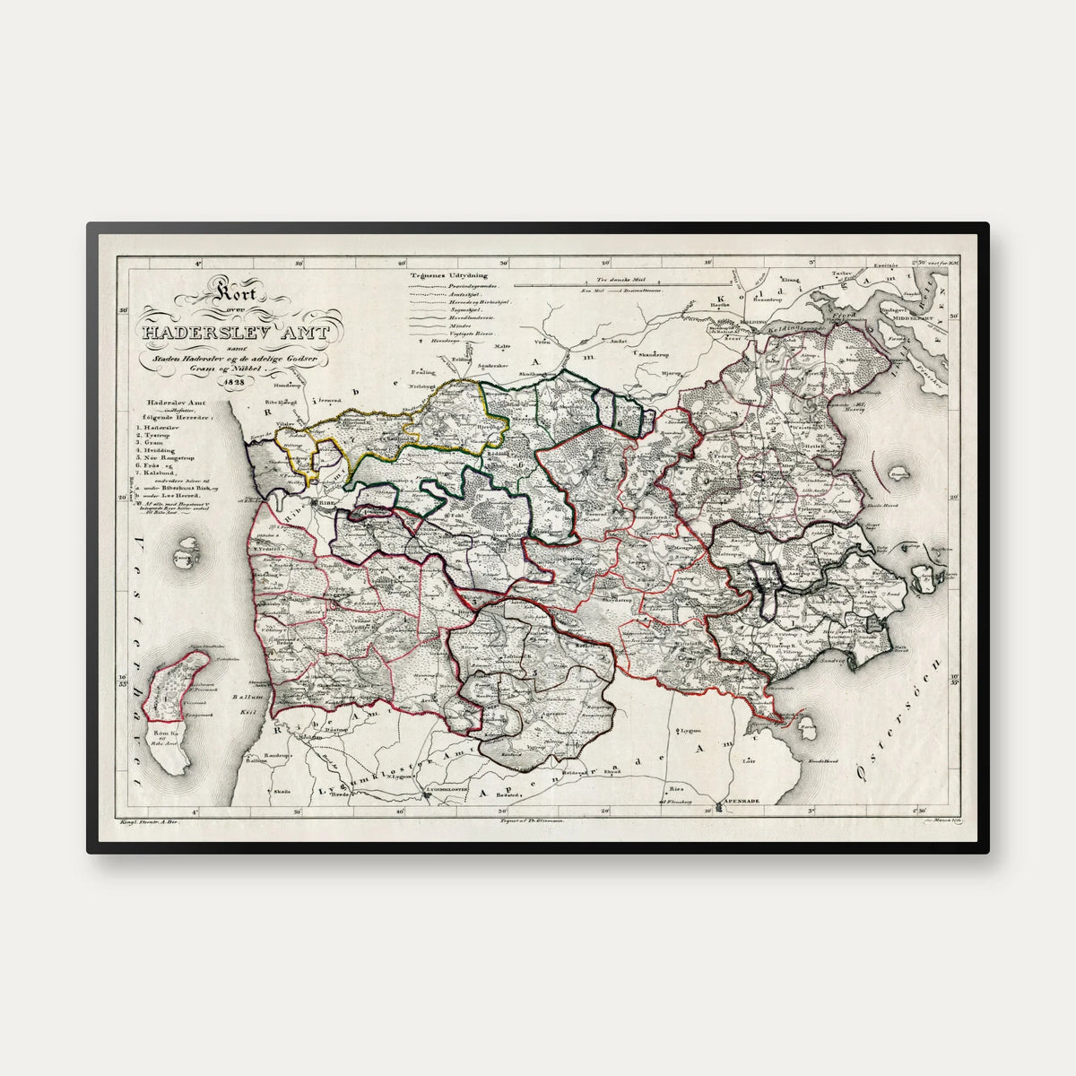 Haderslev Amt 1828 - Kort & plakat – billede 1