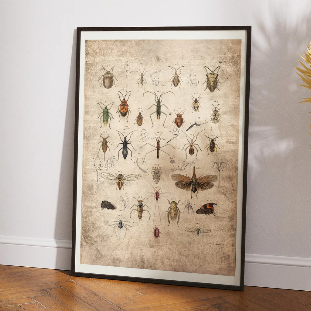 Insekter 1850 - Anskuelsestavle – billede 2