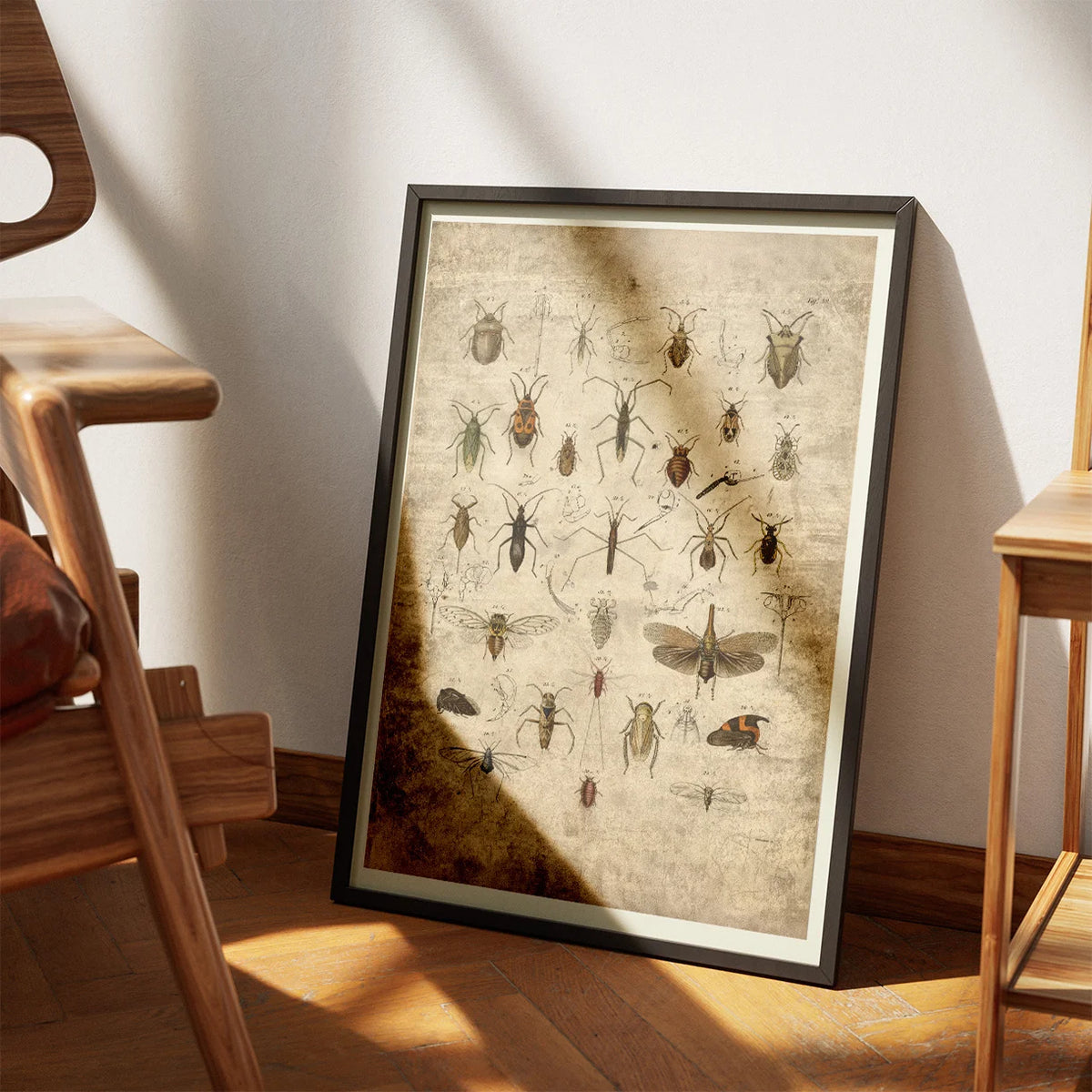 Insekter 1850 - Anskuelsestavle – billede 3