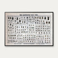 Biller 1909 - Biologisk Anskuelsestavle – billede 1
