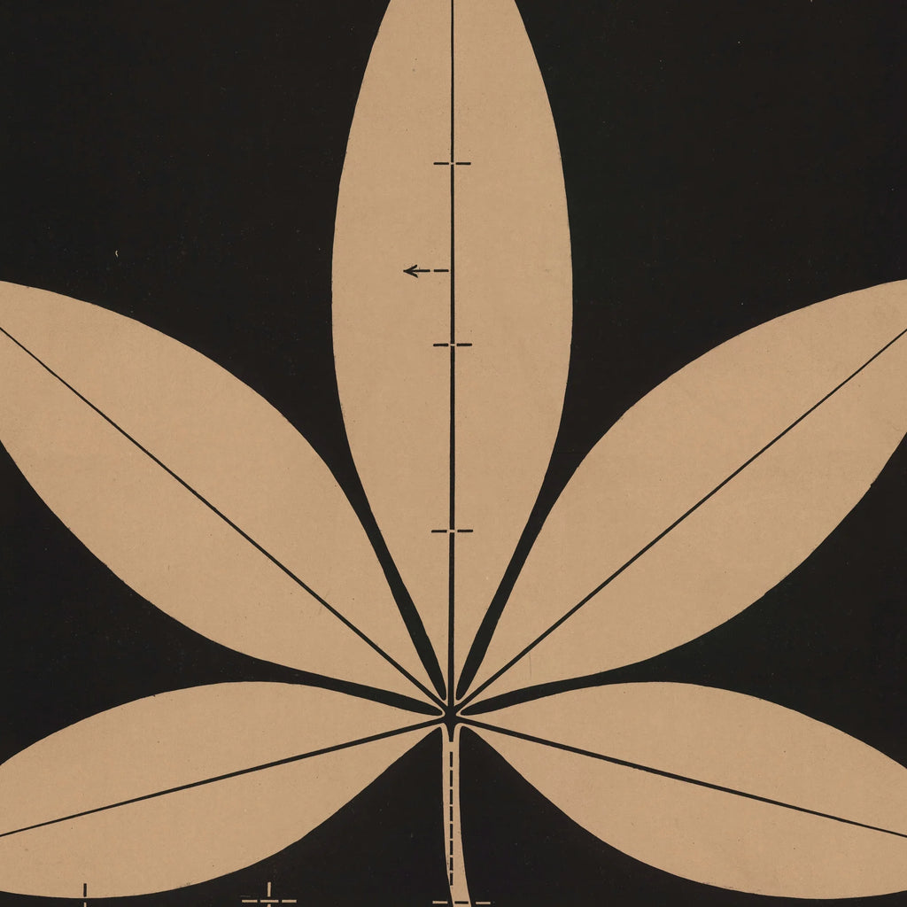 Mosers nr. 16 1892 - Anskuelsestavle – billede 4
