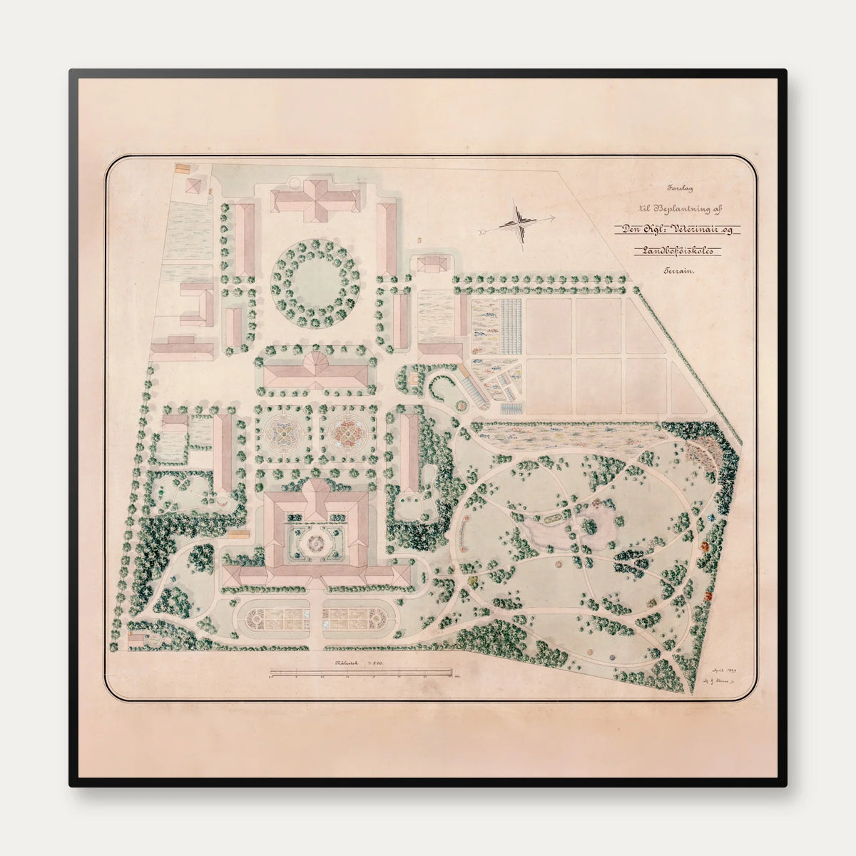 Landbohøjskolens have, Frederiksberg 1899 - Plantegning – billede 1