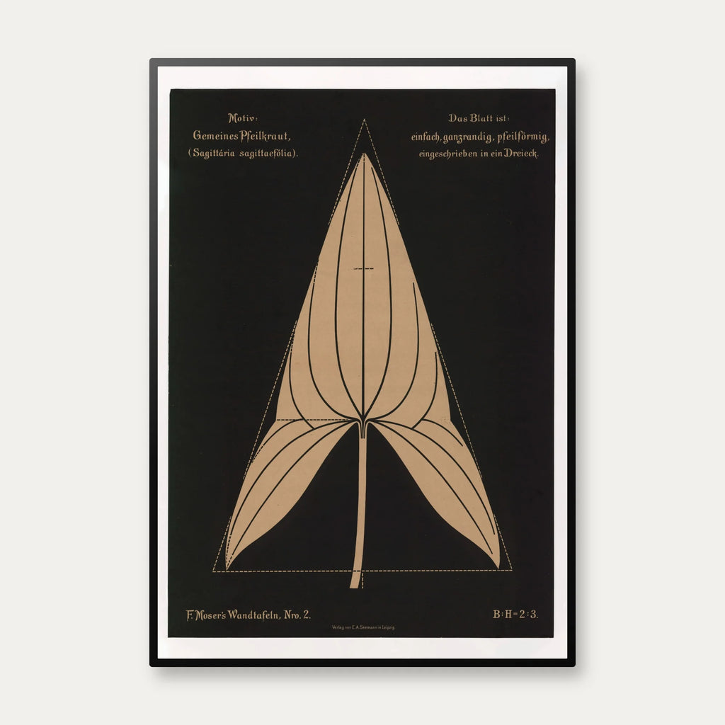Pilblad 1892 - Anskuelsestavle – billede 1