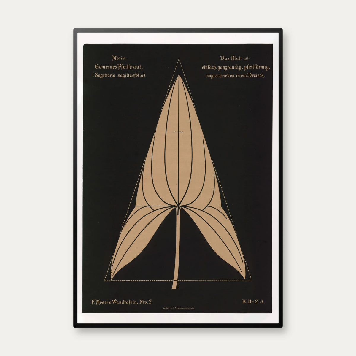 Pilblad 1892 - Anskuelsestavle – billede 1