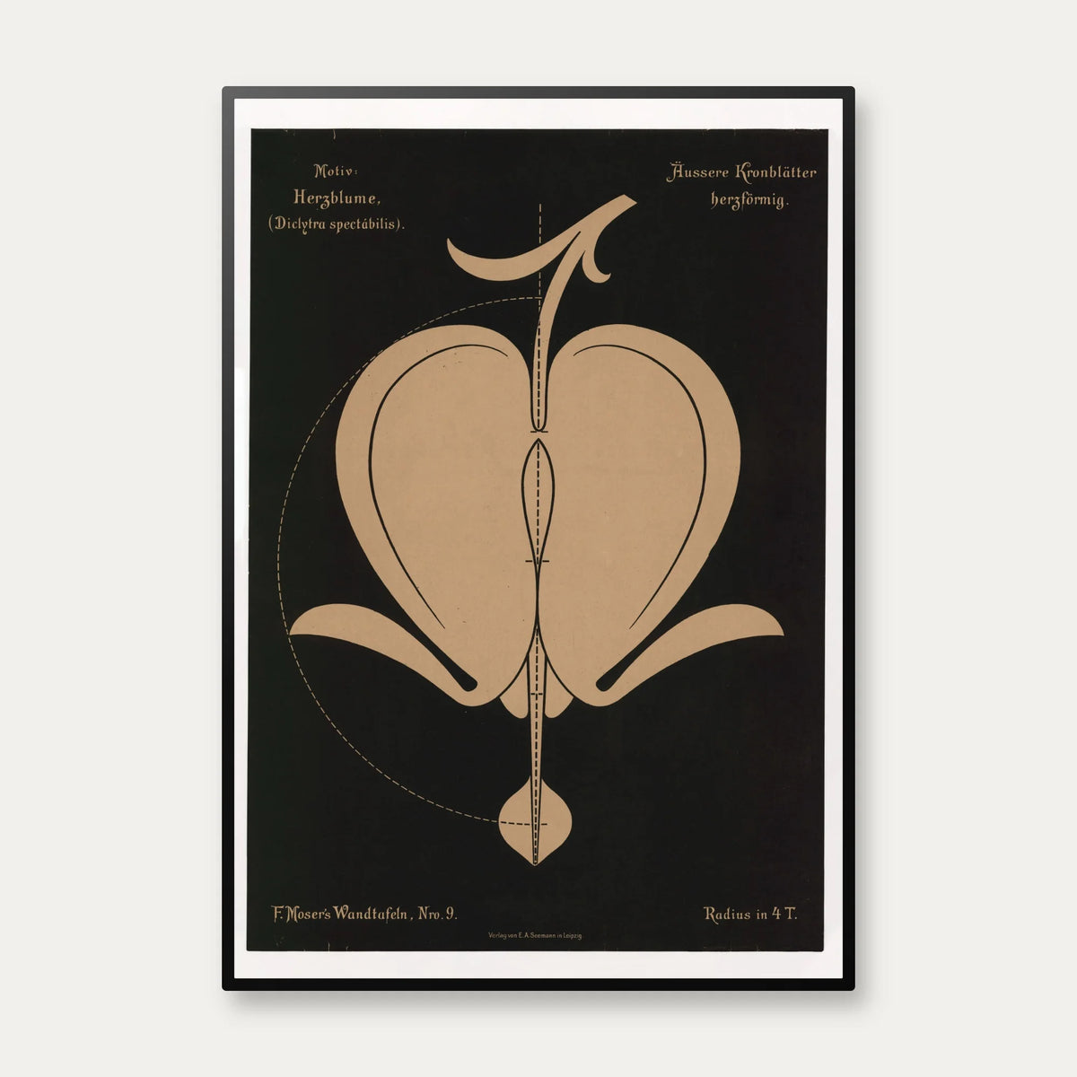 Hjerteblomst 1892 - Anskuelsestavle – billede 1