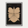 Stedmoderblomst 1892 - Anskuelsestavle – billede 1