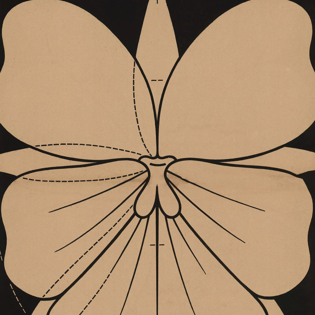 Stedmoderblomst 1892 - Anskuelsestavle – billede 4