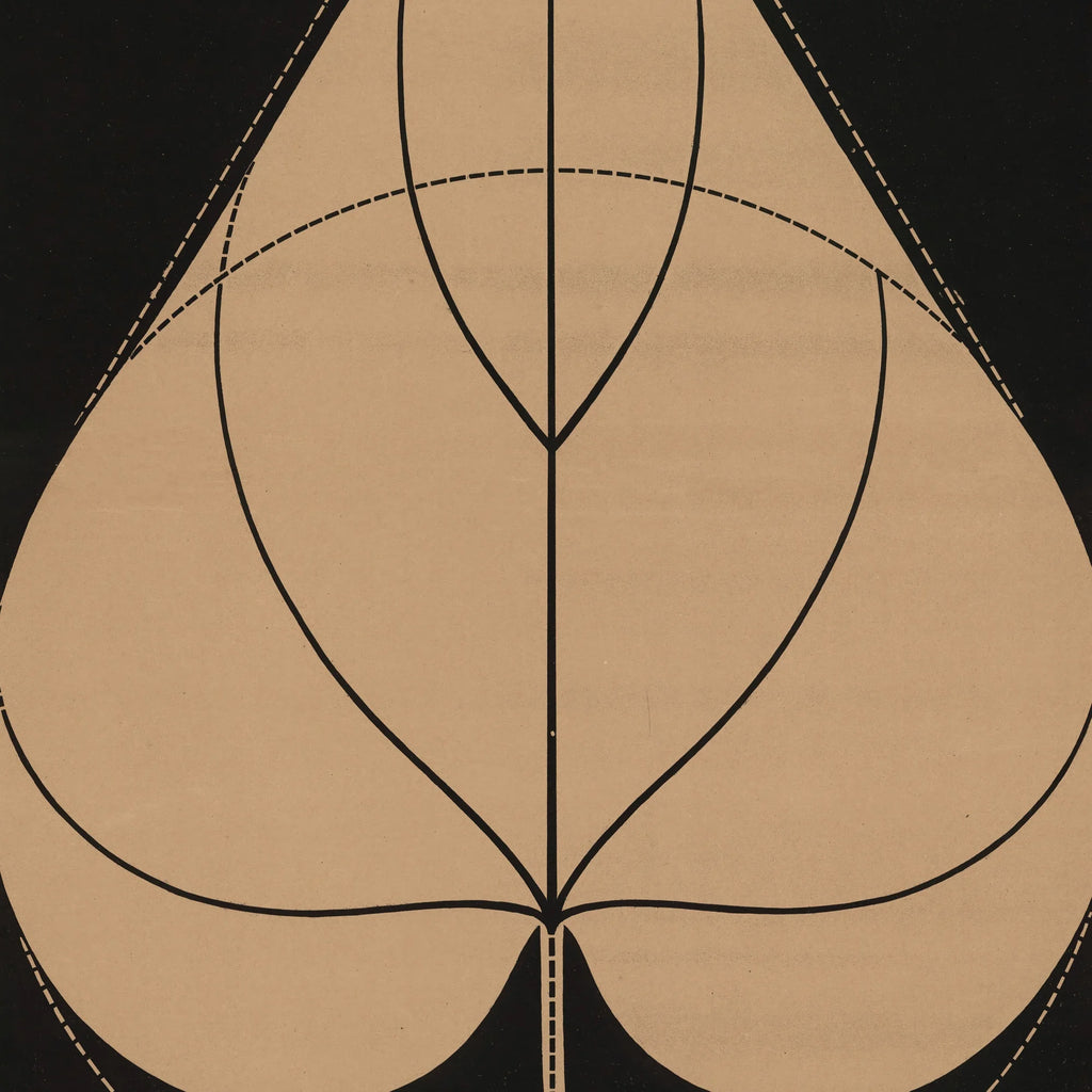 Purpur-pragtsnerle 1892 - Anskuelsestavle – billede 4