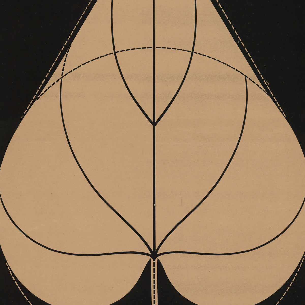 Purpur-pragtsnerle 1892 - Anskuelsestavle – billede 4