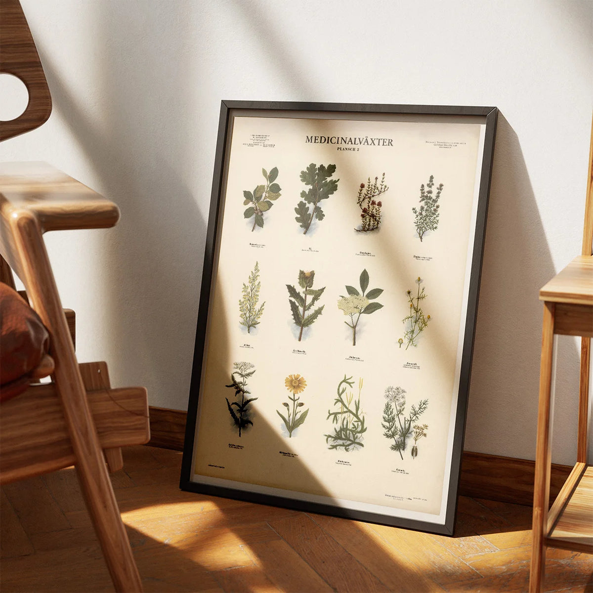 Medicinske planter II 1950 - Anskuelsestavle – billede 3