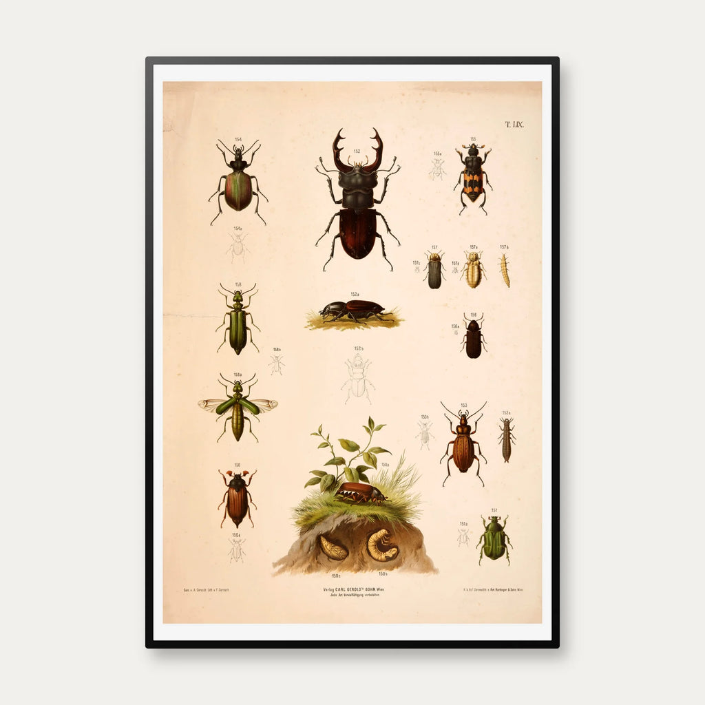 Biller III 1889 - Anskuelsestavle – billede 1