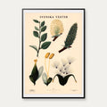Pil 1936 - Botanisk Anskuelsestavle – billede 1