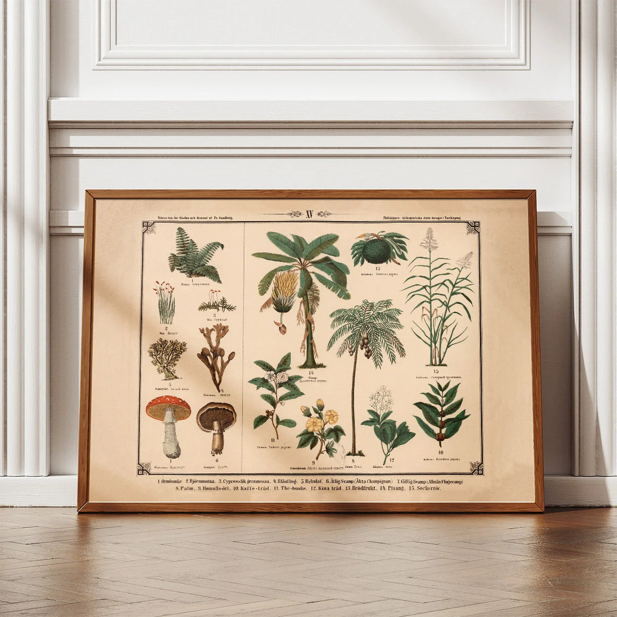 Blomster, urter, svampe og træer 1875 – billede 2