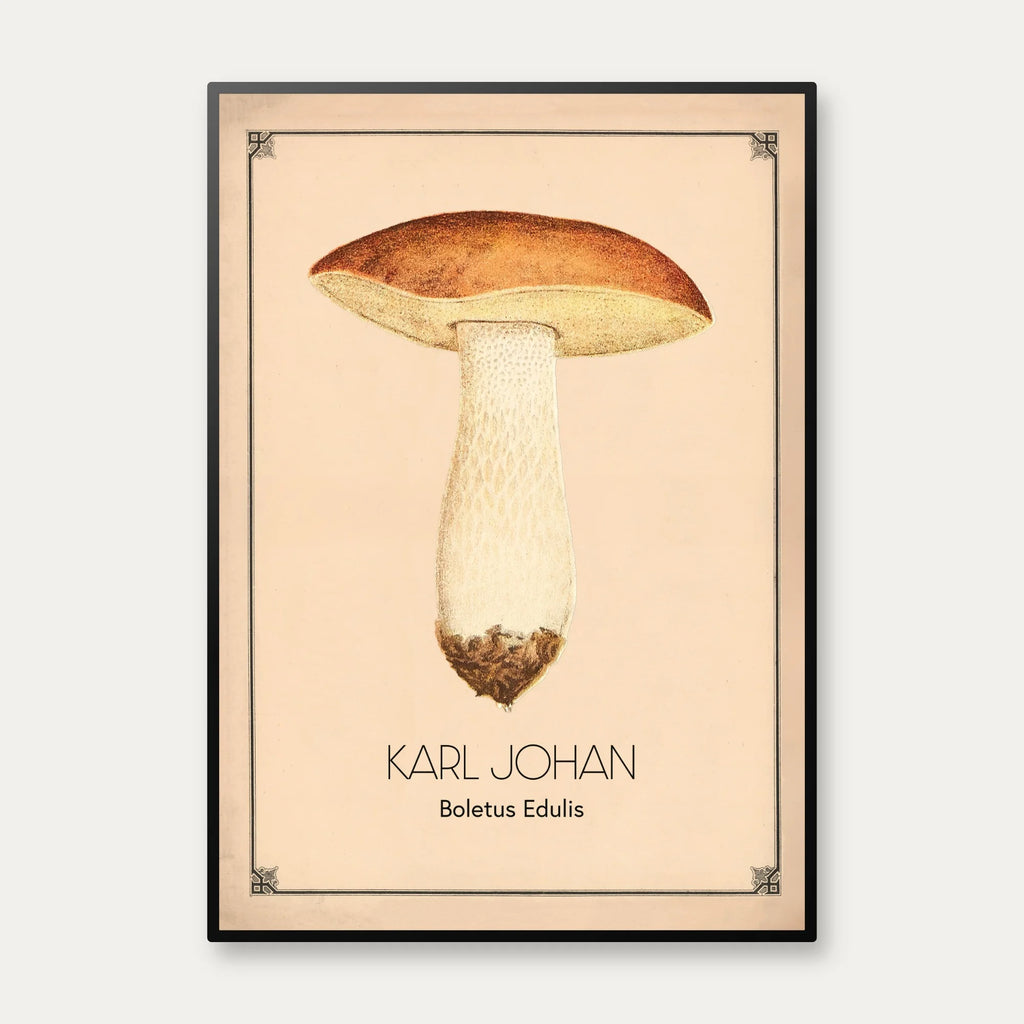 Karl Johan svamp - Anskuelsestavle – billede 1