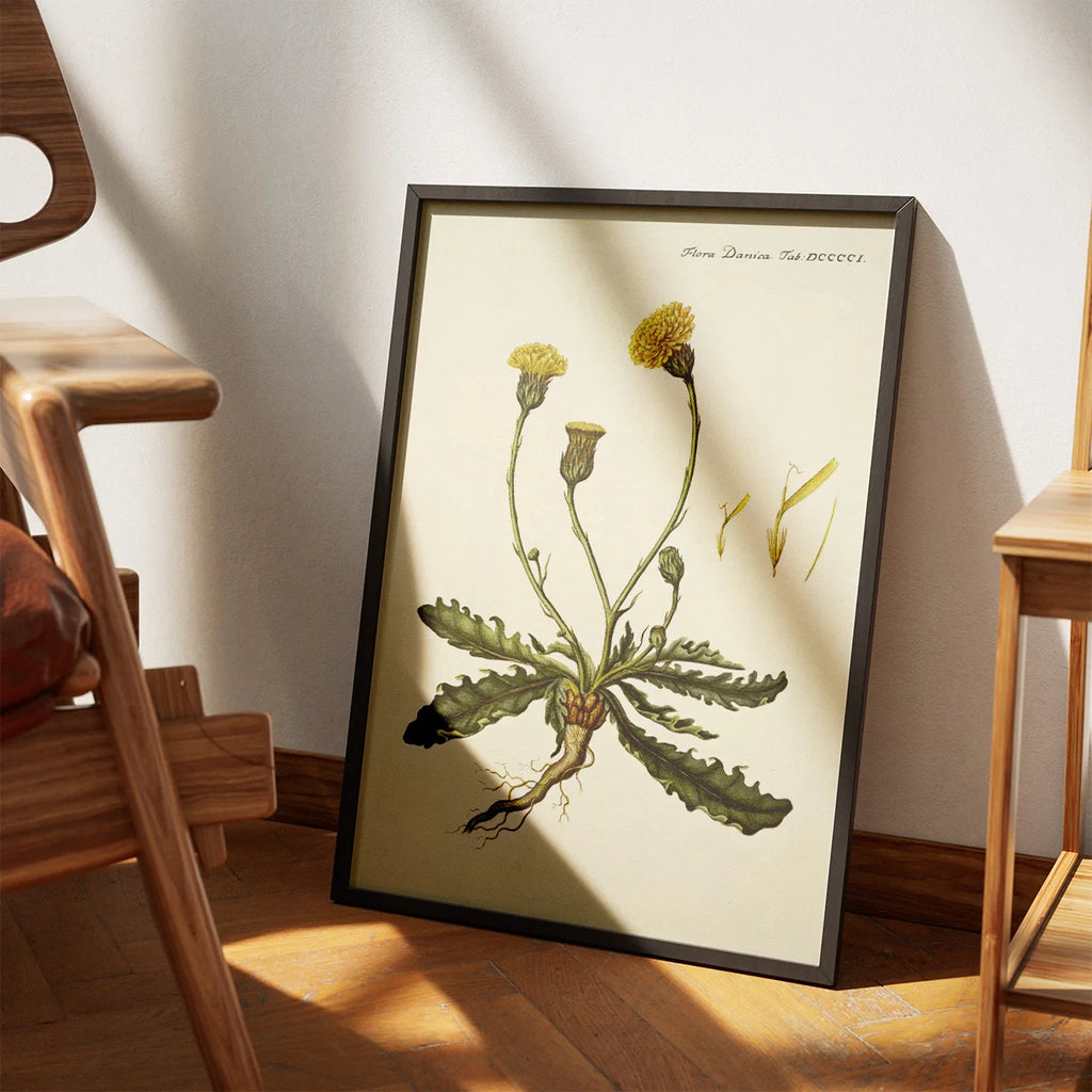 Kongepen Plettet 1787 - Flora Danica – billede 3