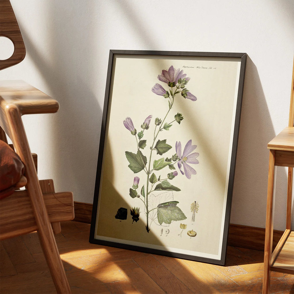 Poppelrose 1874 - Flora Danica – billede 3