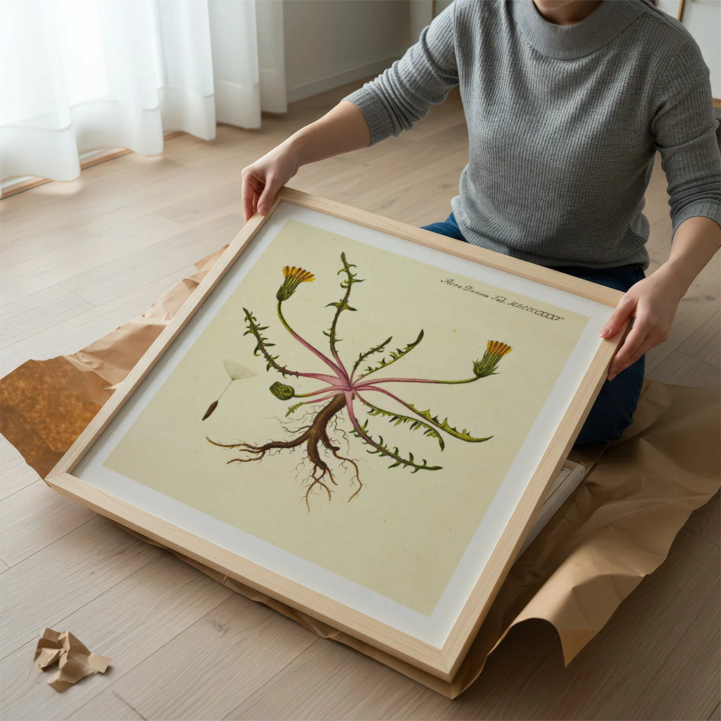 Mælkebøtte 1829 - Flora Danica – billede 2