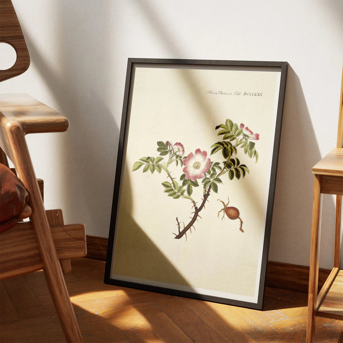 Æble-Rose 1782 - Flora Danica – billede 3