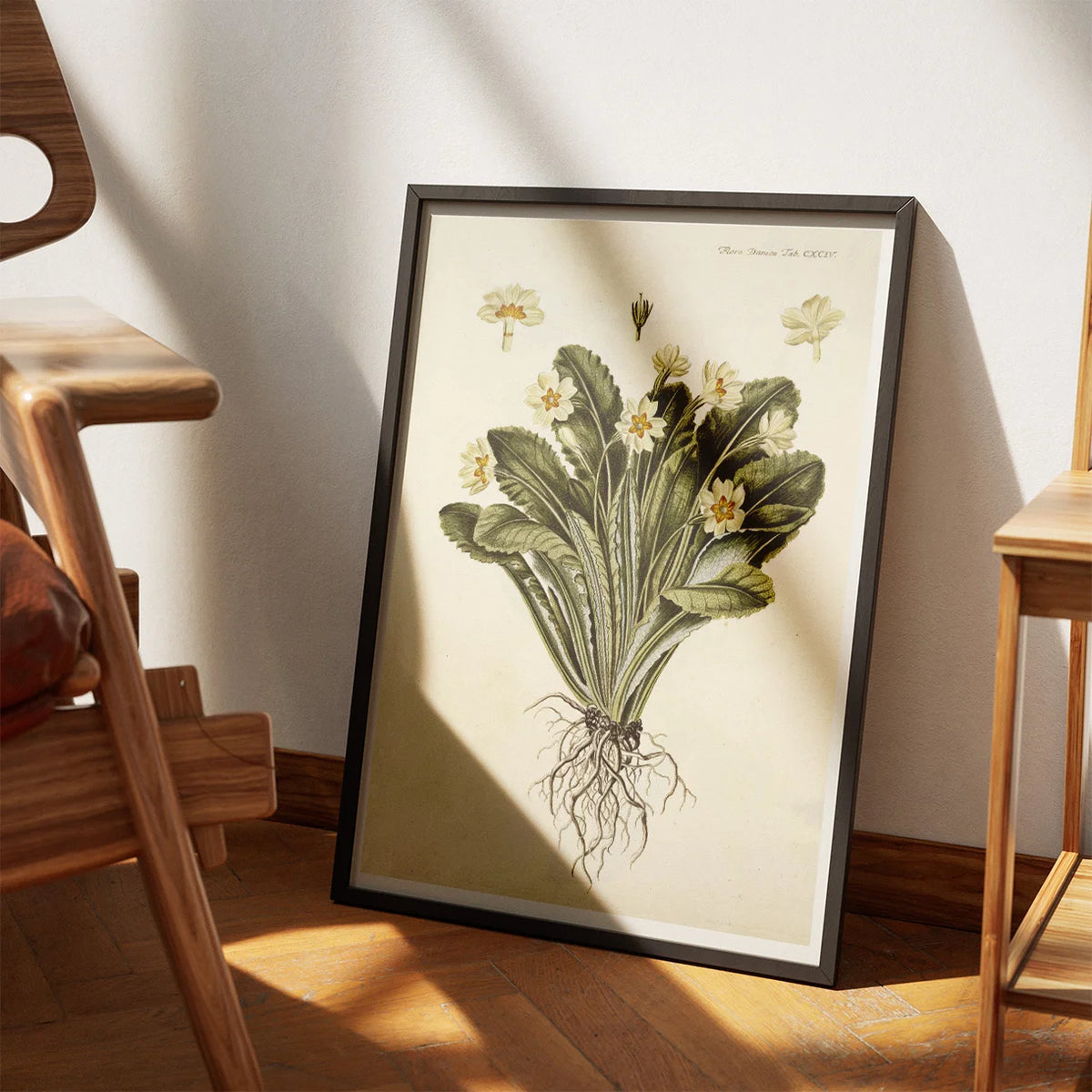 Storblomstret Kodriver 1765 - Flora Danica – billede 3