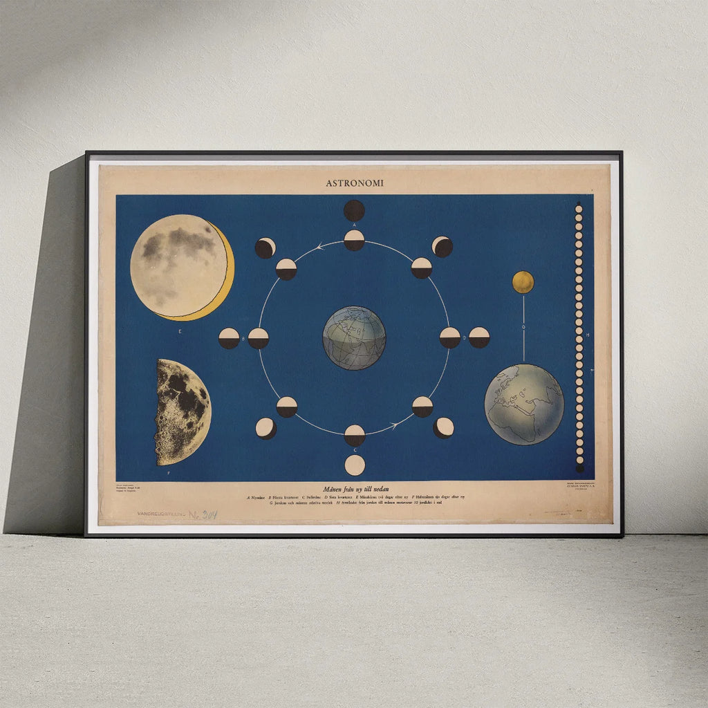 Månen fra ny til nedan 1950 - Astronomi – billede 3