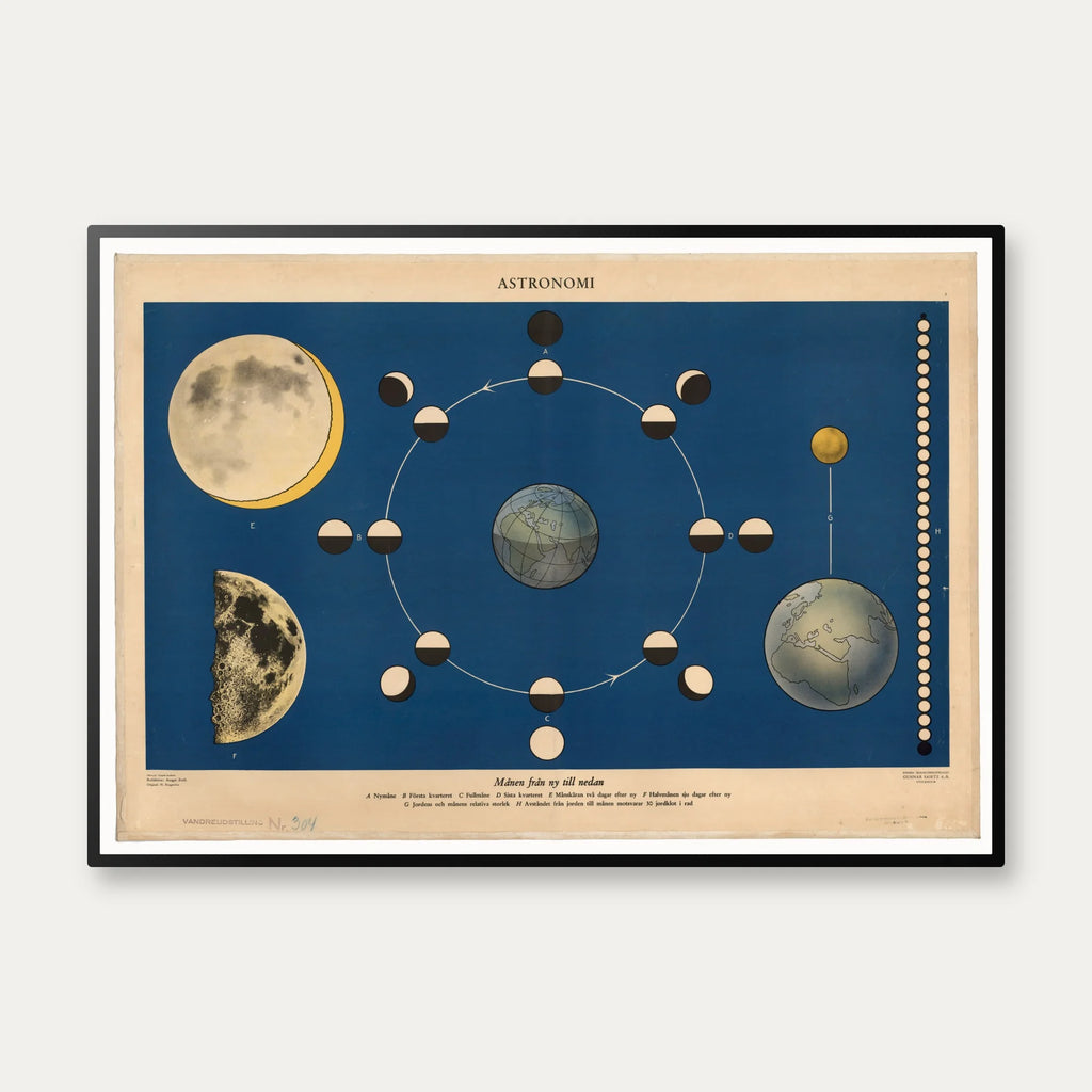 Månen fra ny til nedan 1950 - Astronomi – billede 1