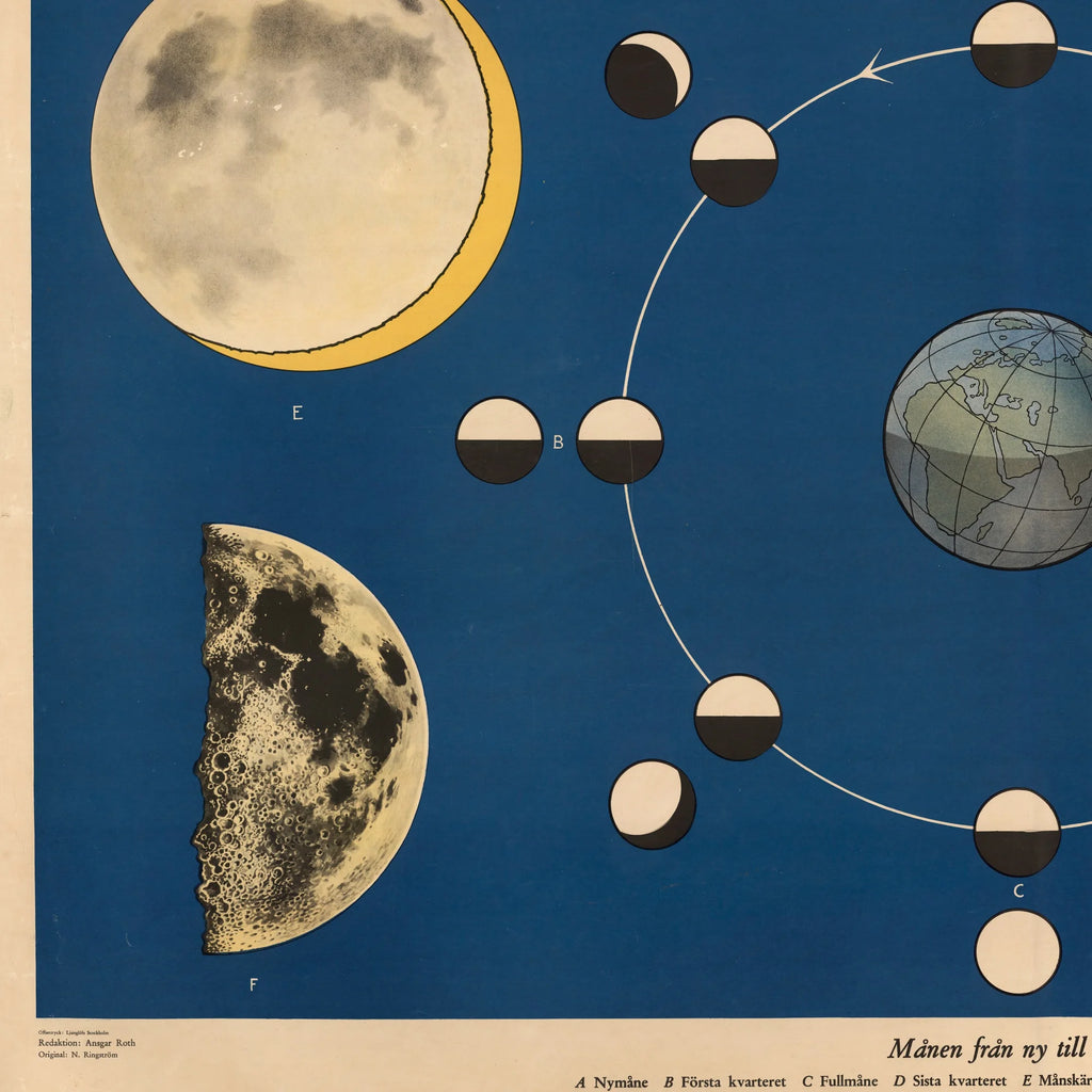 Månen fra ny til nedan 1950 - Astronomi – billede 4