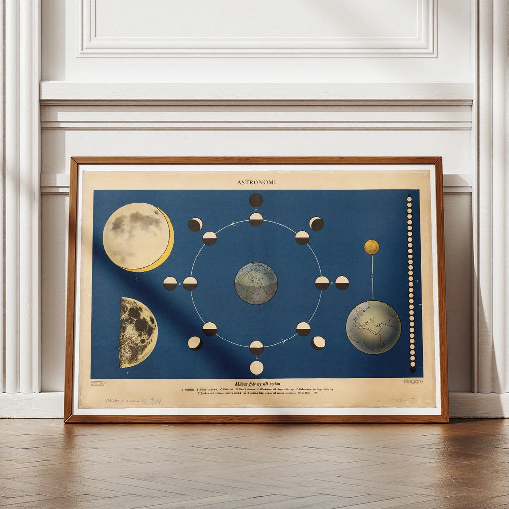 Månen fra ny til nedan 1950 - Astronomi – billede 2