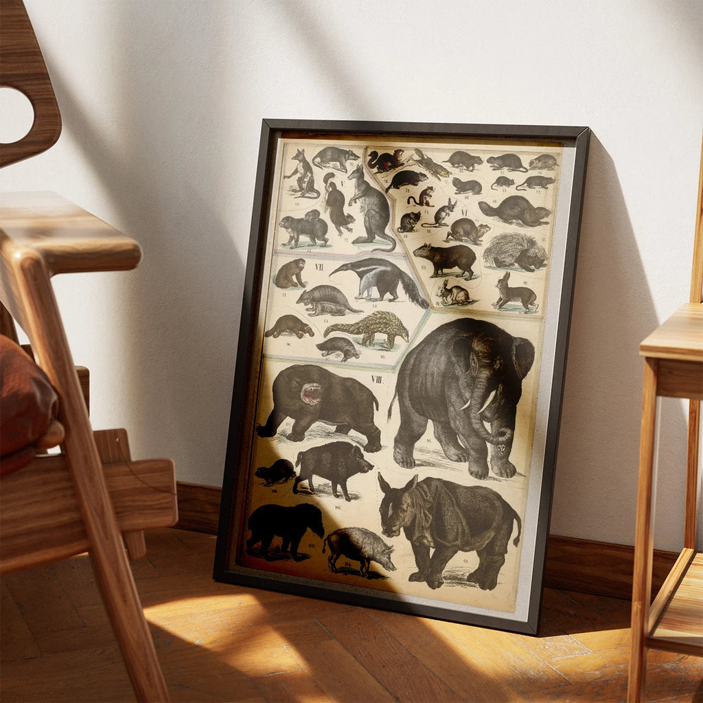 Pungdyr, gnavere og tykhuder 1890 - Zoologi – billede 3