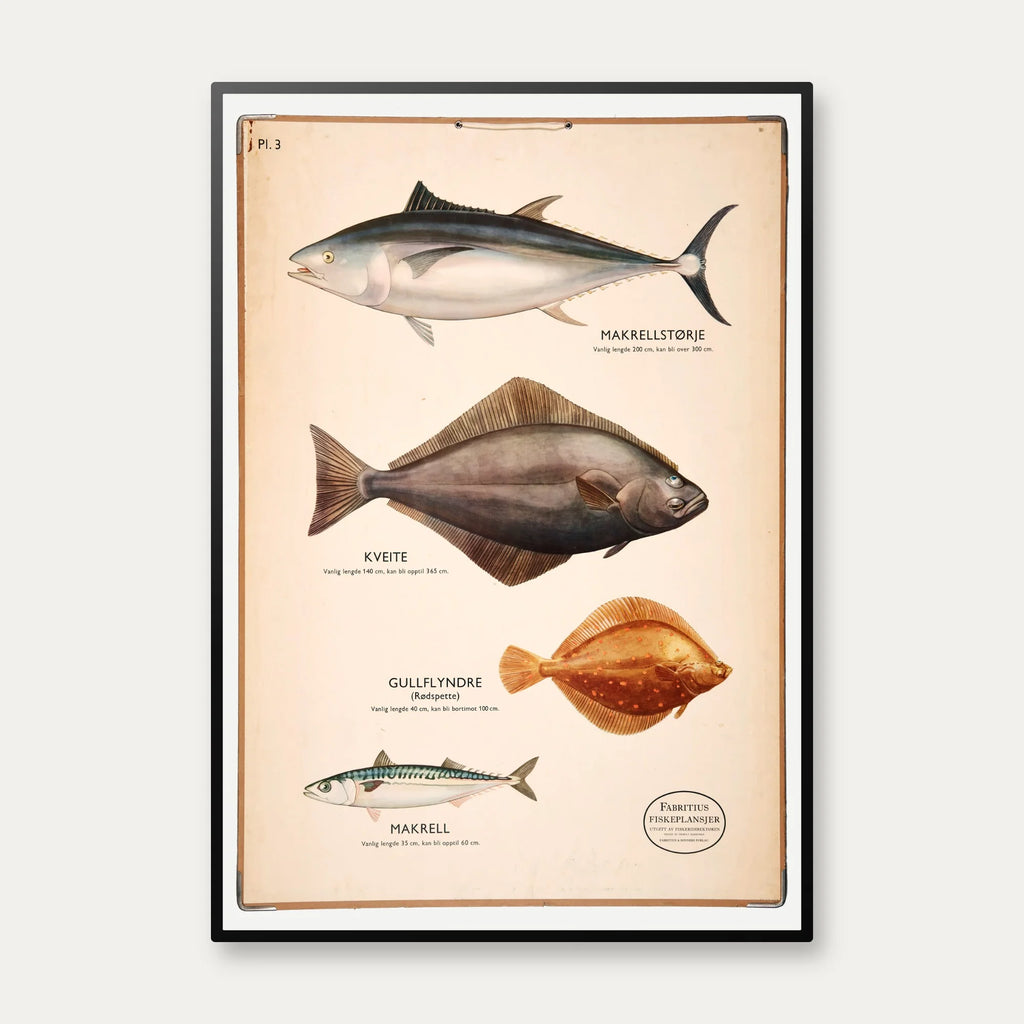 Fiskeplanche 1957 - Zoologi – billede 1