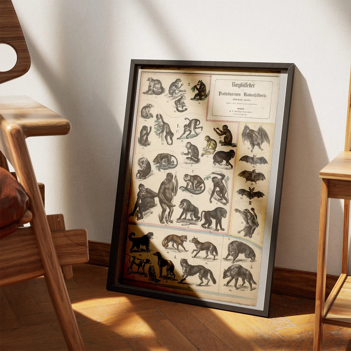 Aber & hunde 1890 - Zoologi – billede 3