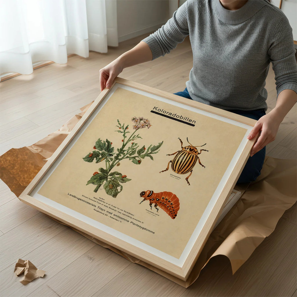 Koloradobille 1949 - Zoologi – billede 2