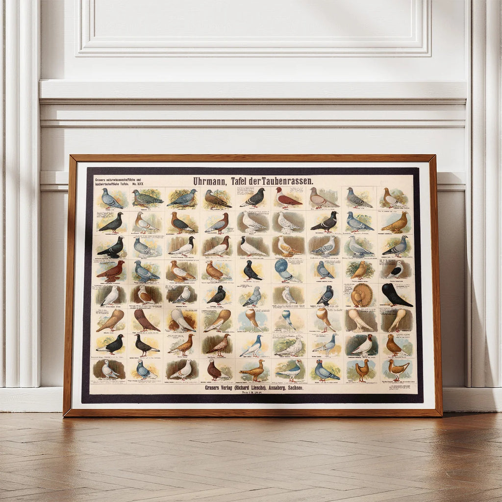 Dueracer 1910 - Biologi & Zoologi – billede 2