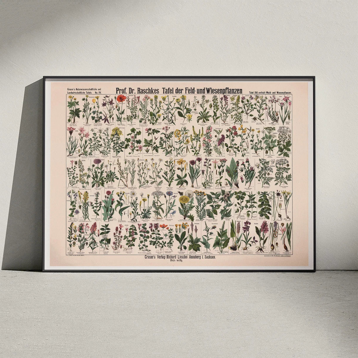 Mark- & engplanter 1909 - Botanik – billede 3