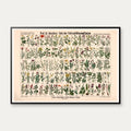 Mark- & engplanter 1909 - Botanik – billede 1