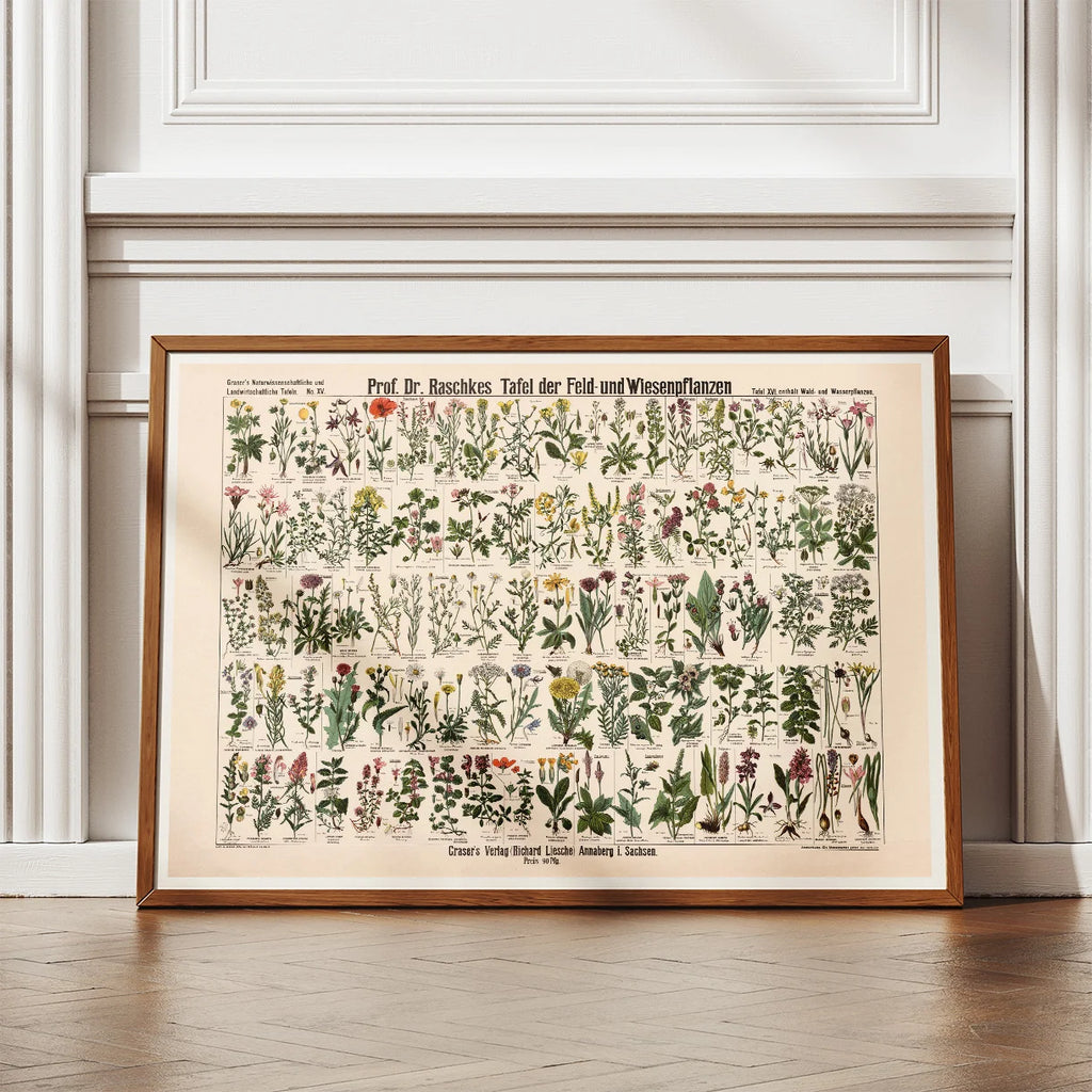 Mark- & engplanter 1909 - Botanik – billede 2
