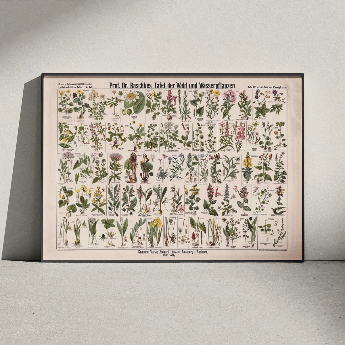 Skov- & vandplanter 1909 - Botanik – billede 3