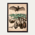 Flagermus, flyvende hund 1890 - Zoologi – billede 1